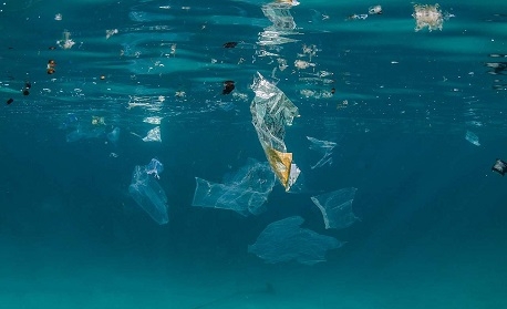 스쿠버 다이빙도 배우고,  푸른 바다 만들기에 앞장서자!  '해동 캠페인' 사진
