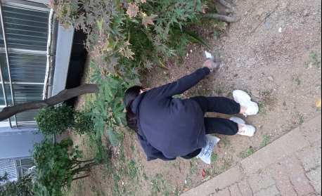 댓글 이미지