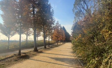 서울 하늘공원 둘레길